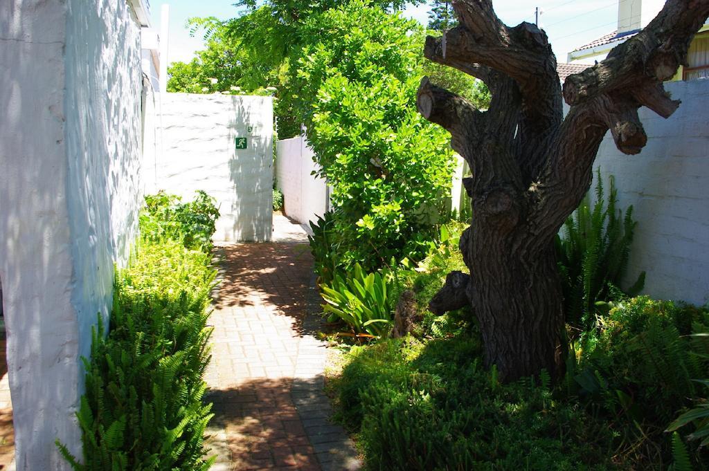 Aqua Marine Guest House Port Elizabeth Exterior foto